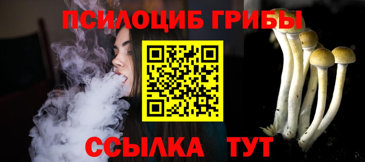 Псилоцибиновые грибы мицелий Мичуринск